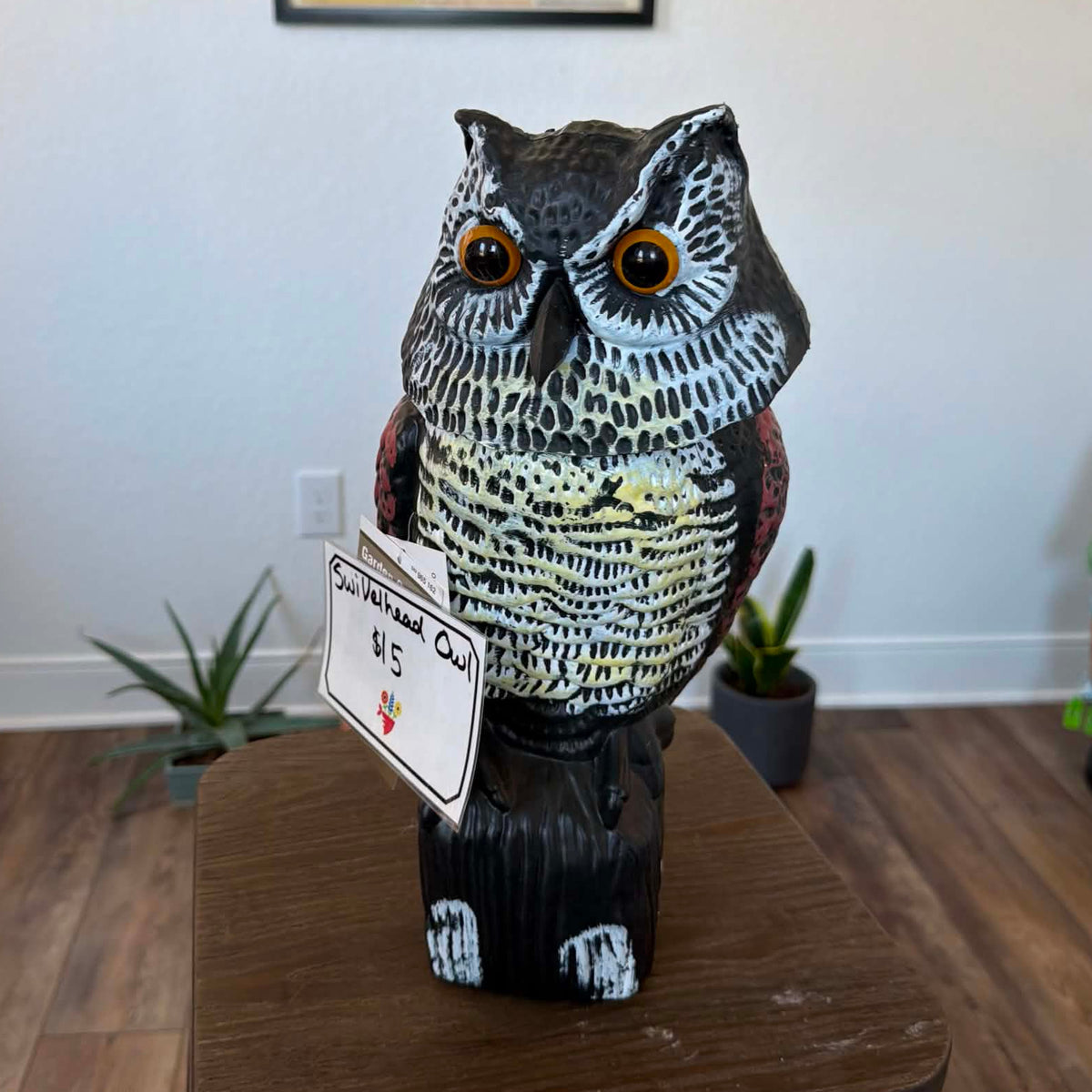 Owl (Decorative)