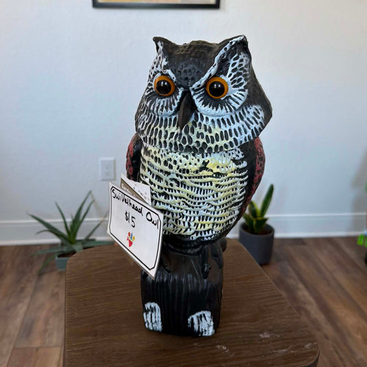 Owl (Decorative)
