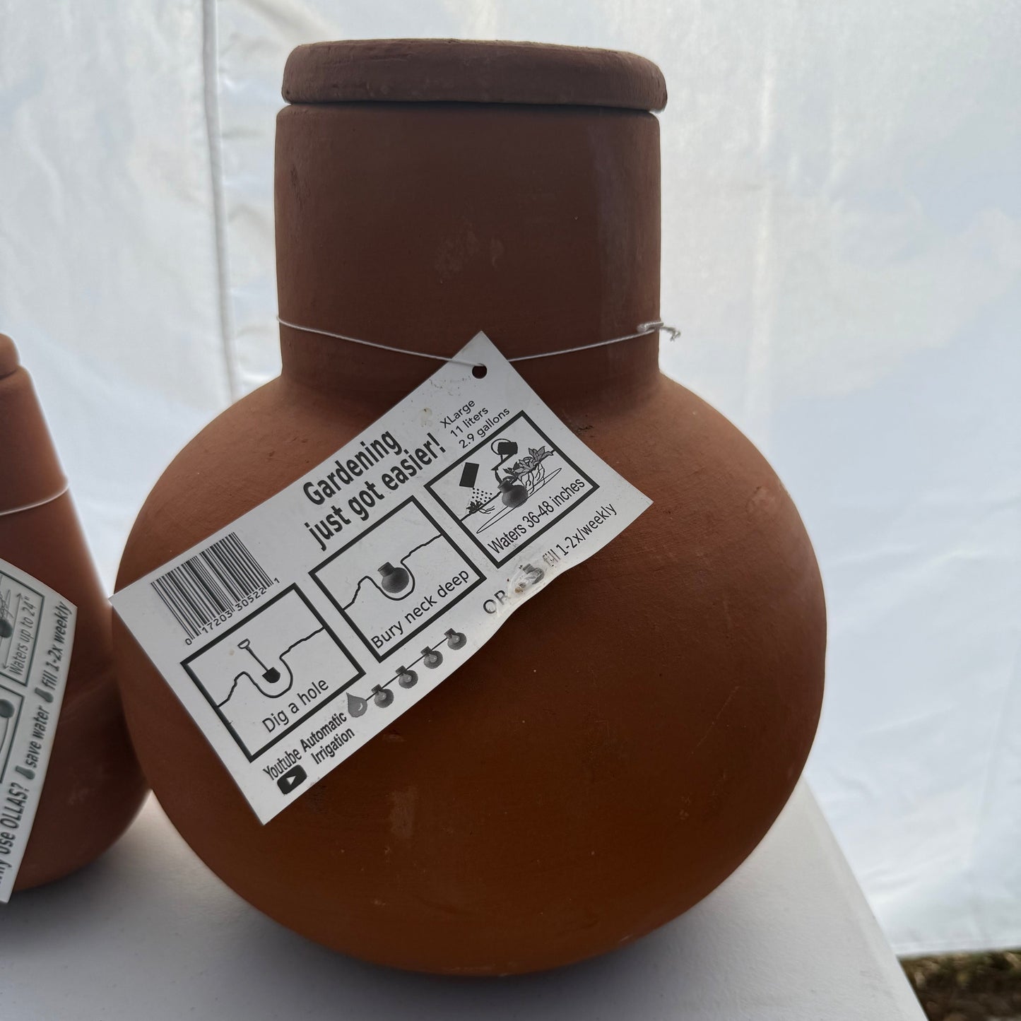Olla (clay pot irrigation)